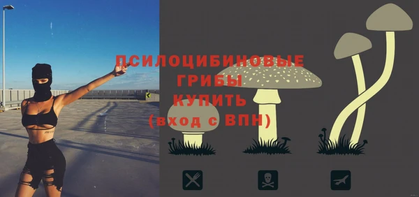 соль ск Богородск