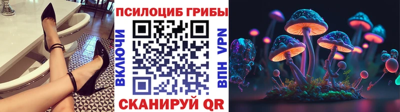 Галлюциногенные грибы Psilocybine cubensis Невьянск